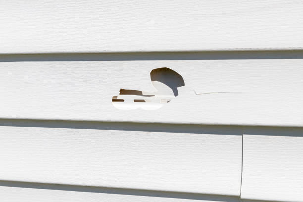 Best Insulated Siding Installation  in USA